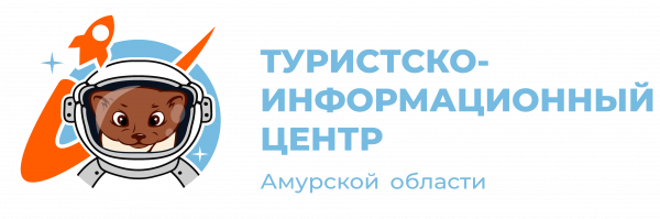 Агентство Амурской области по привлечению инвестиций, Автономная некоммерческая организация